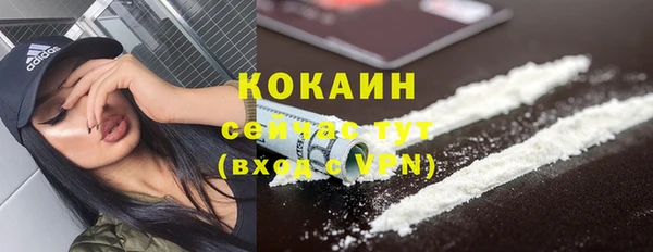 ешки Бронницы