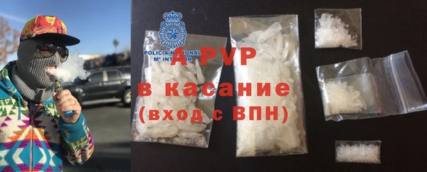 ECSTASY Богородицк
