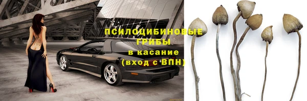 ешки Бронницы