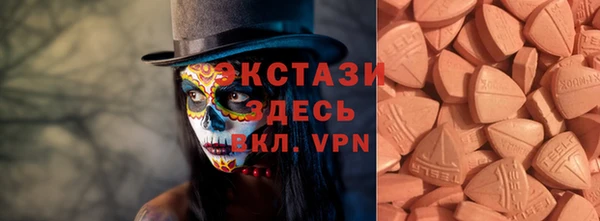 ECSTASY Богородицк