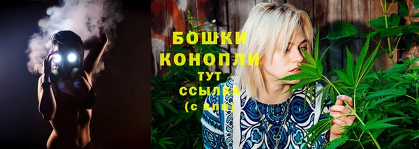 ECSTASY Богородицк