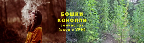 ECSTASY Богородицк