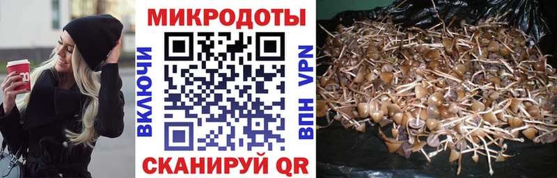 Галлюциногенные грибы мухоморы  Сретенск 